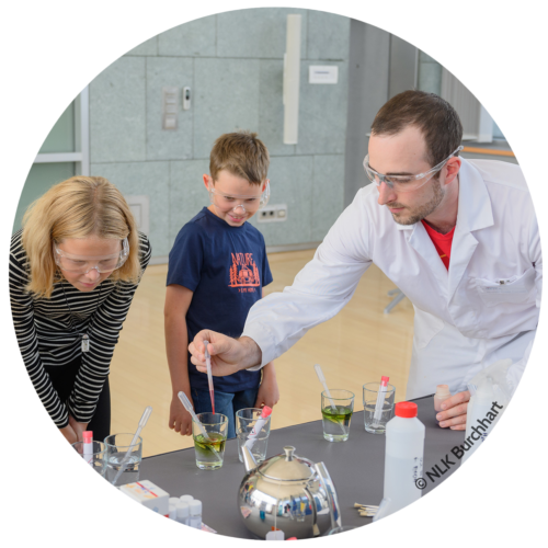 Kreis_Experiment Copy